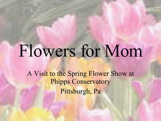 Flowers for Mom A Visit to the Spring Flower Show at Phipps Conservatory Pittsburgh, Pa 