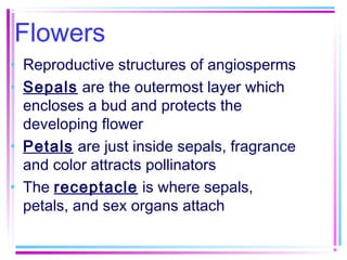 Flowers
• Reproductive structures of angiosperms
• Sepals are the outermost layer which
encloses a bud and protects the
developing flower
• Petals are just inside sepals, fragrance
and color attracts pollinators
• The receptacle is where sepals,
petals, and sex organs attach

 