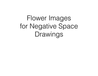 Flower Images
for Negative Space
Drawings
 