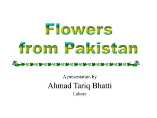 A presentation by
Ahmad Tariq Bhatti
Lahore
 