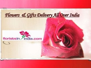 Flowers & Gifts Delivery All Over India

 
