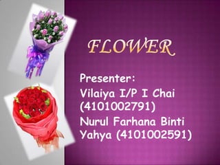 Presenter:
Vilaiya I/P I Chai
(4101002791)
Nurul Farhana Binti
Yahya (4101002591)
 