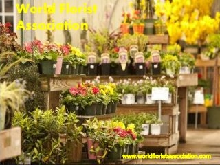 World Florist
Association
www.worldfloristassociation.com
 