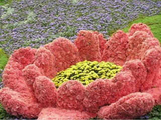 Flower show in kiev