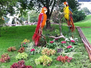 Flower show in kiev