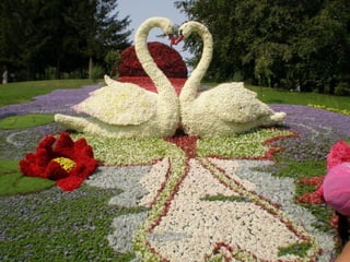 Flower show in kiev