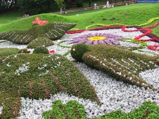 Flower show in kiev