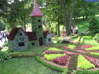 Flower show in kiev