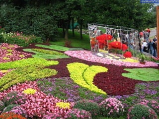 Flower show in kiev