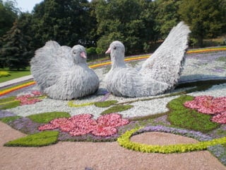 Flower show in kiev