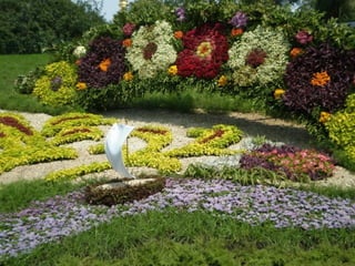 Flower show in kiev