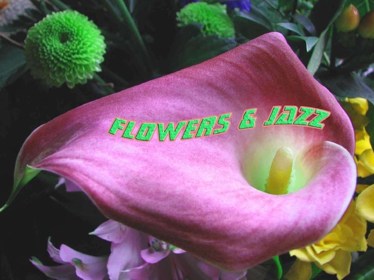 Flowers & jazz