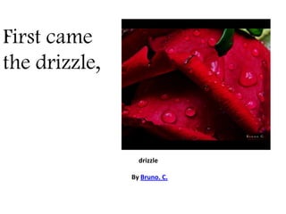 First came the drizzle, drizzle By Bruno. C. 
