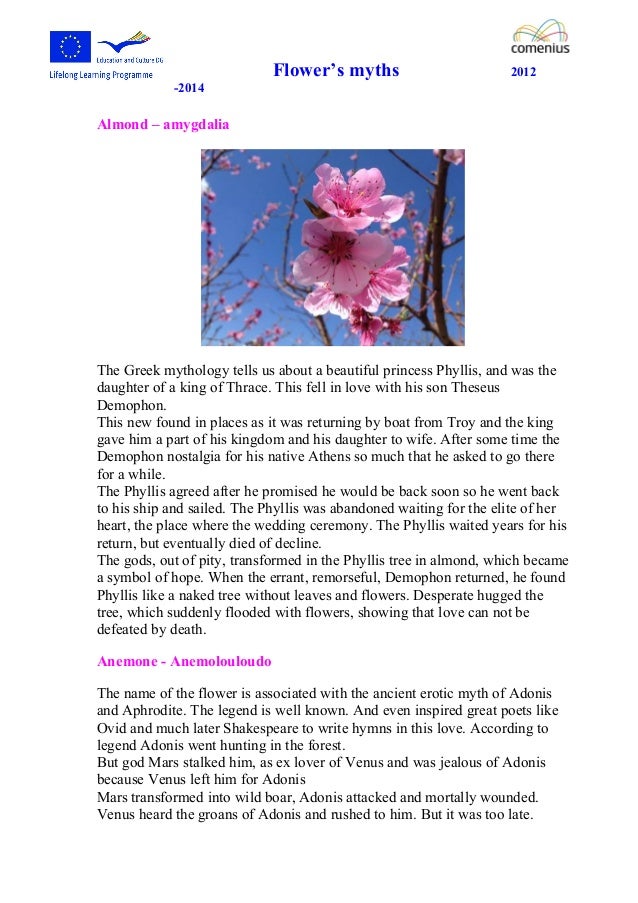 Flowers'myths by ann magkiosi