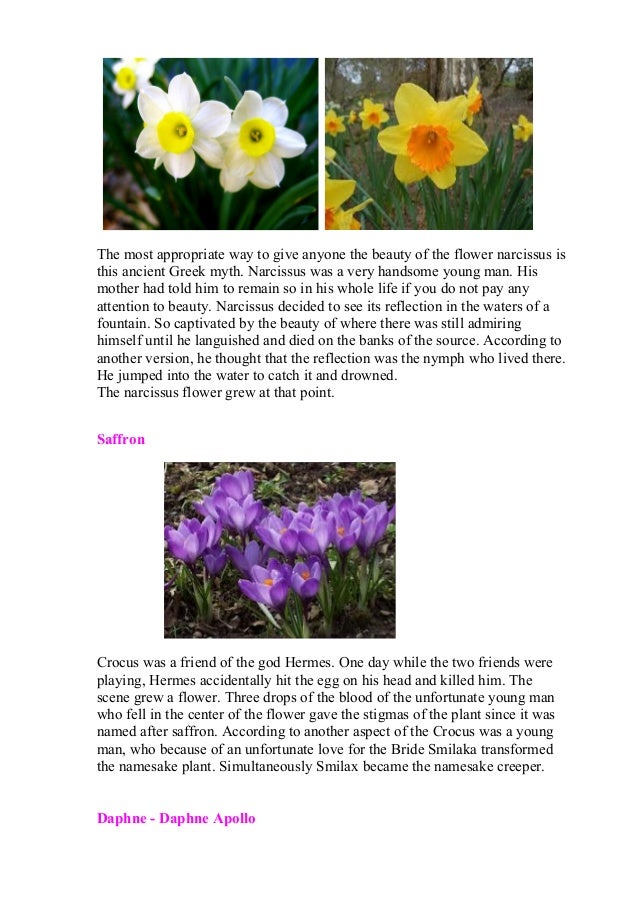 Flowers'myths by ann magkiosi