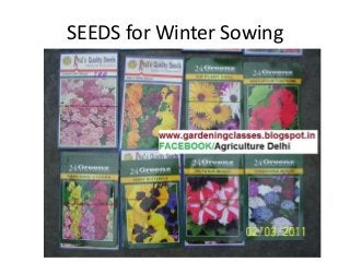 SEEDS for Winter Sowing
 