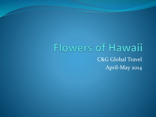 C&G Global Travel
April-May 2014
 
