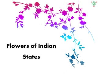 Flowers of Indian
States
 