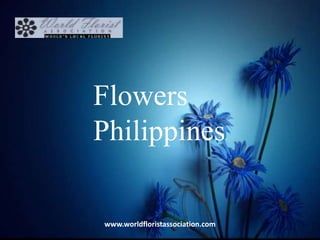 www.worldfloristassociation.com
Flowers
Philippines
 