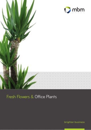 1
Fresh Flowers & Office Plants
 