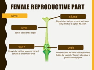 Flowers, pollination, and double fertilization | PPTX
