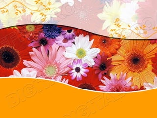 Flowers power point template