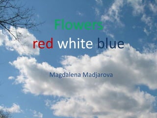 Flowers
red white blue
Magdalena Madjarova
 