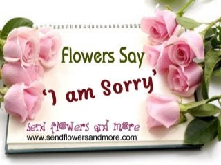 Flowers say ‘i m sorry’