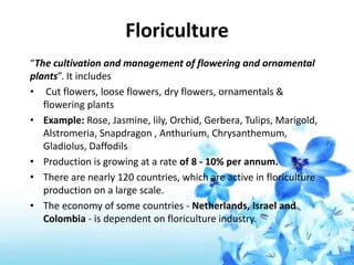 Supply Chain Management FLOWER Industry | PPTX