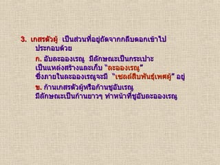 3.  เกสรตัวผู้   เป็นส่วนที่อยู่ถัดจากกลีบดอกเข้าไป ประกอบด้วย ก .   อับละอองเรณู  มีลักษณะเป็นกระเปาะ  เป็นแหล่งสร้างและเก็บ “ ละอองเรณู ” ซึ่งภายในละอองเรณูจะมี  “ เซลล์สืบพันธุ์เพศผู้ ” อยู่ ข .   ก้านเกสรตัวผู้หรือก้านชูอับเรณู มีลักษณะเป็นก้านยาวๆ ทำหน้าที่ชูอับละอองเรณู 