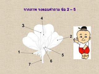 จากภาพ จงตอบคำถาม ข้อ  2 – 5 1 2 3 6 5 4 7 