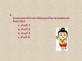 2.  ส่วนของดอกที่ทำหน้าที่ล่อแมลงให้มาช่วยผสมเกสรคือส่วนใด ? ก .  ส่วนที่  1 ข .  ส่วนที่  2 ค .  ส่วนที่  3 ง .  ส่วนที่  4 