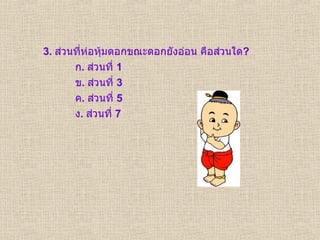 3.  ส่วนที่ห่อหุ้มดอกขณะดอกยังอ่อน คือส่วนใด ? ก .  ส่วนที่  1 ข .  ส่วนที่  3 ค .  ส่วนที่  5 ง .  ส่วนที่  7 