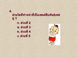 4.  ส่วนใดที่ทำหน้าที่เป็นเซลล์สืบพันธุ์เพศผู้  ? ก .  ส่วนที่  2 ข .  ส่วนที่  3 ค .  ส่วนที่  4 ง .  ส่วนที่  5 