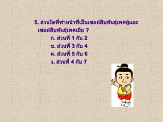5.  ส่วนใดที่ทำหน้าที่เป็นเซลล์สืบพันธุ์เพศผู้และ เซลล์สืบพันธุ์เพศเมีย  ? ก .  ส่วนที่  1  กับ  2 ข .  ส่วนที่  3  กับ  4 ค .  ส่วนที่  5  กับ  6 ง .  ส่วนที่  4  กับ  7 