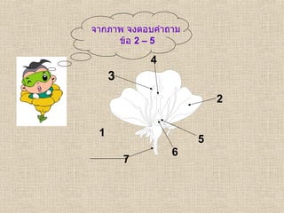 จากภาพ จงตอบคำถาม  ข้อ  2 – 5 1 2 3 6 5 4 7 