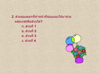 2.  ส่วนของดอกที่ทำหน้าที่ล่อแมลงให้มาช่วย ผสมเกสรคือส่วนใด ? ก .  ส่วนที่  1 ข .  ส่วนที่  2 ค .  ส่วนที่  3 ง .  ส่วนที่  4 