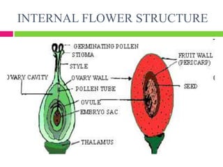 Flower structure