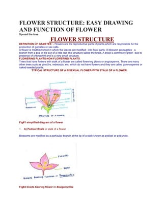 FLOWER STRUCTURE: EASY DRAWING
AND FUNCTION OF FLOWER
Spread the love
FLOWER STRUCTURE
DEFINITION OF GAMETES :- Flowers are the reproductive parts of plants,which are responsible for the
production of gametes or sex cells.
A flower is modified shoot in which the leaves are modified into floral parts. A blossom propagates a
branch from a bud in the axil of a little leaf-like structure called the bract. A bract is commonly green due to
presence of chlorophyll and is a very small structure.
FLOWERING PLANTS-NON FLOWERING PLANTS.
Trees that have flowers with stalk of a flower are called flowering plants or angiosperms. There are many
other trees such as pine,firs, redwoods, etc. which do not have flowers and they are called gymnosperms or
naked-seeded plants.
TYPICAL STRUCTURE OF A BISEXUAL FLOWER WITH STALK OF A FLOWER.
Fig#1 simplified diagram of a flower
1. A) Pedicel /Stalk or stalk of a flower
Blossoms are modified as a particular branch at the tip of a stalk known as pedicel or peduncle.
Fig#2 bracts bearing flower in Bougainvillea
 