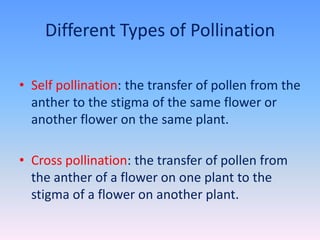 Flower structure, pollination, fertilization | PPTX