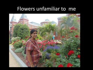Flowers unfamiliar to me
 