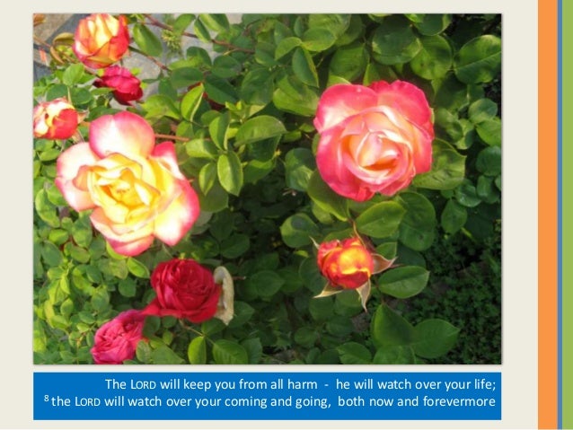 Flowers With Bible Verses