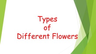 Types
of
Different Flowers
 