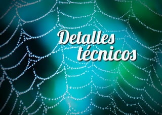 Detalle�
  técnic�
 