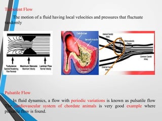 Pulsation Flow Flow measurement in Blood flow | PPTX