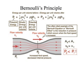 Bernoulli’s Principle
 