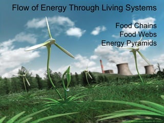 Flow of Energy Through Living Systems
Food Chains
Food Webs
Energy Pyramids
 