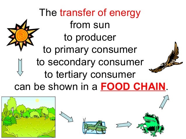 Flow Of Energy 2013 2014