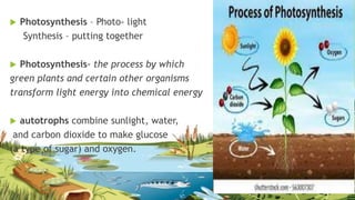 Flow of Energy and Matter in the Ecosystem | PPTX