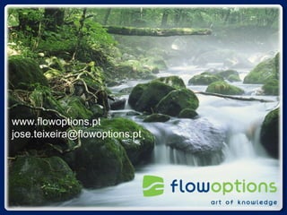 www.flowoptions.pt [email_address] 